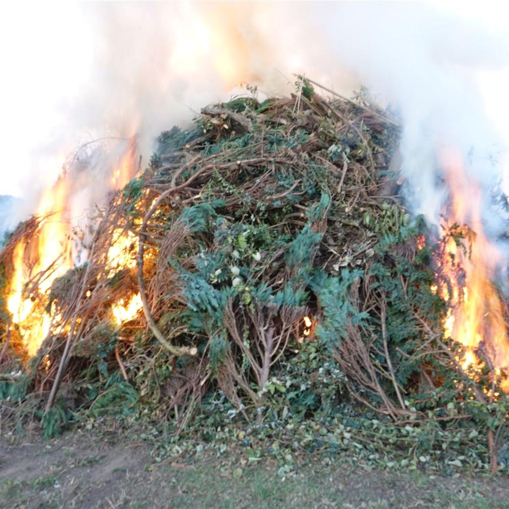 Herbstfeuer202517