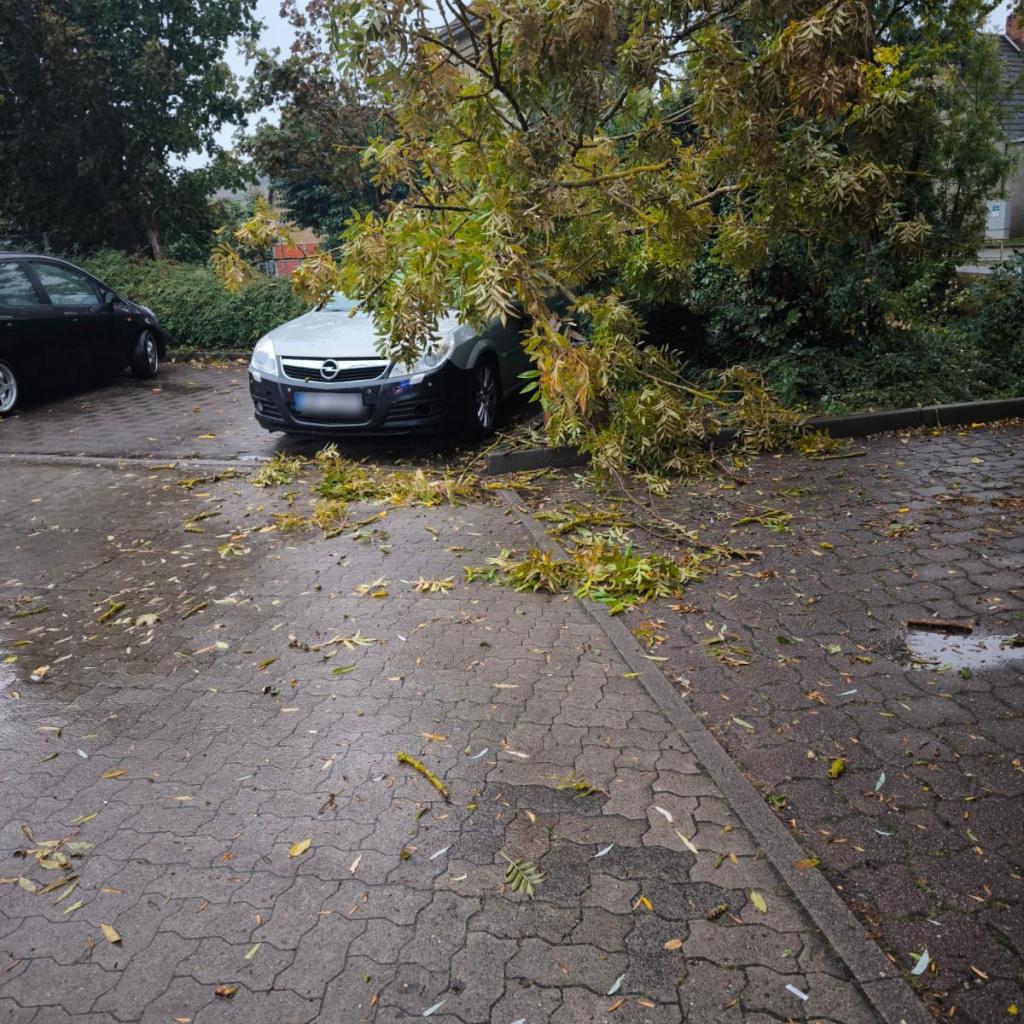 Einsatz 04.10.2025 03