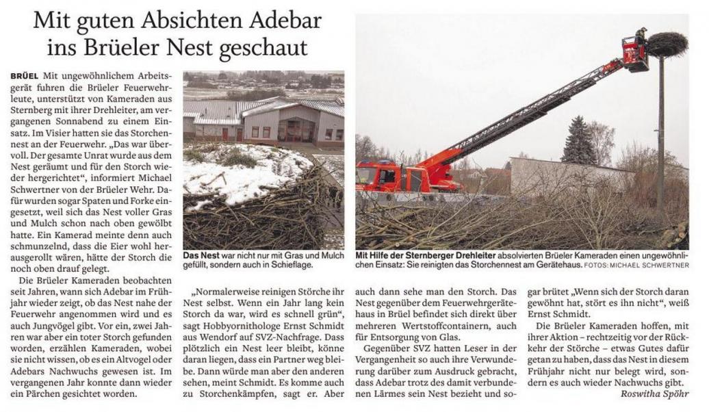 SVZ vom 19.02.2013